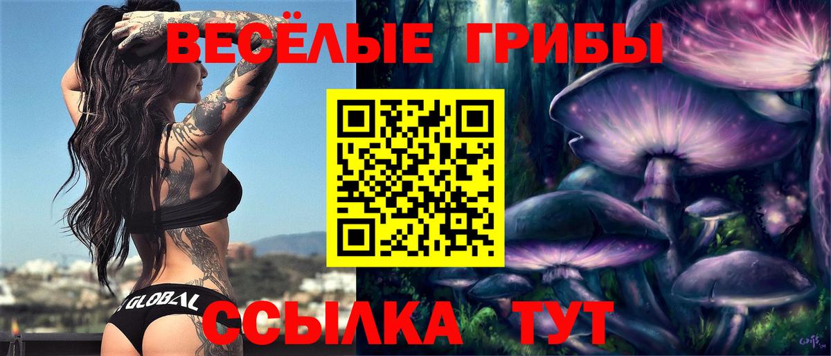 Знаменск  Галлюциногенные грибы мухоморы  Вход с VPN 