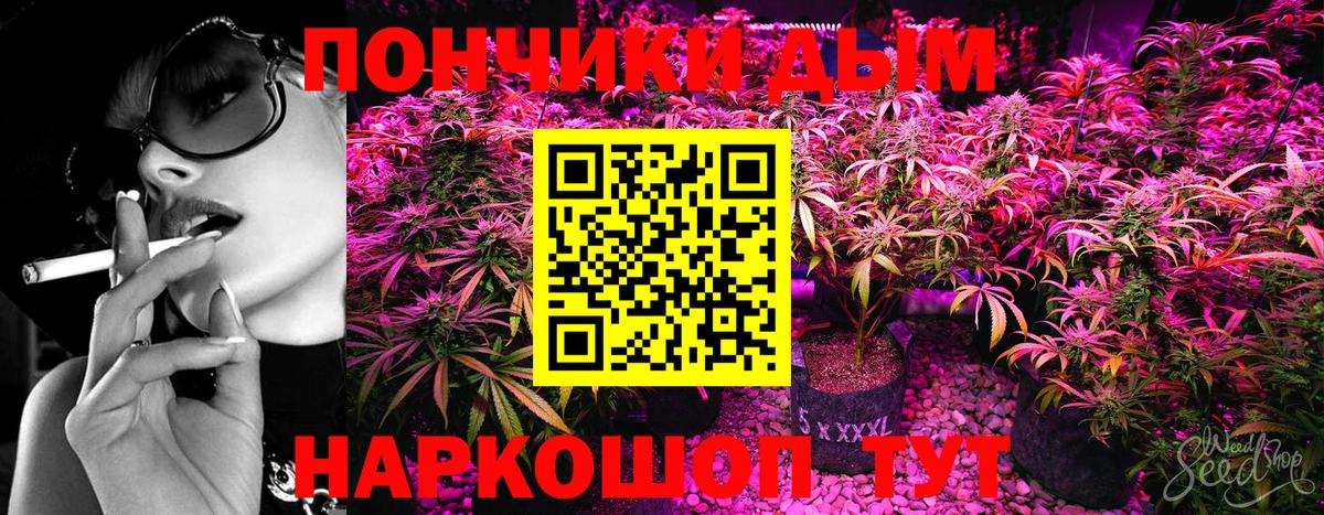 Бошки марихуана Amnesia  Вход с VPN  МАРИХУАНА LSD WEED  Знаменск  Каннабис семена 